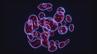 细胞的线粒体高清视频高清视频免费下载视频素材
