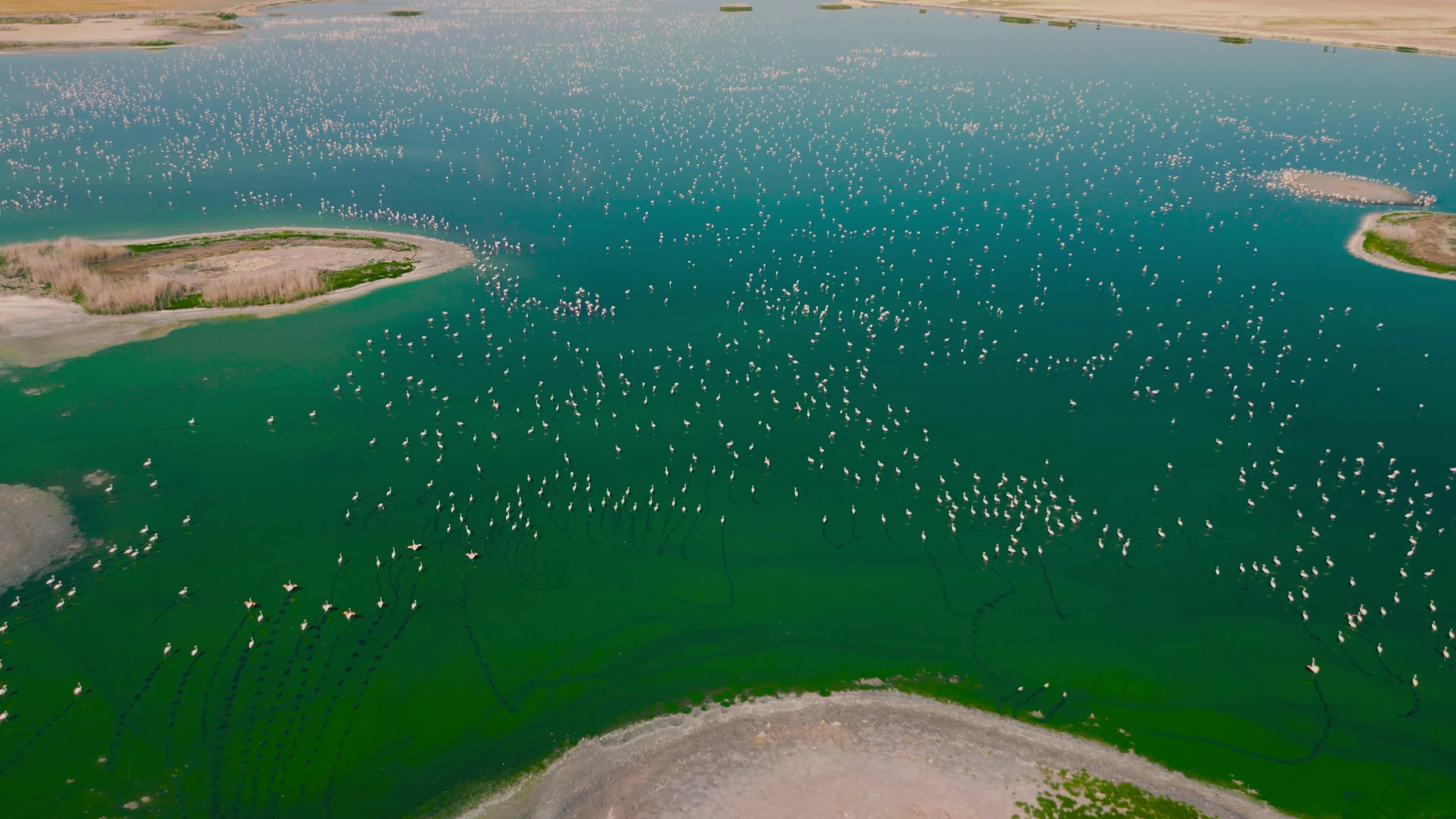 Video by Mahmut Yılmaz