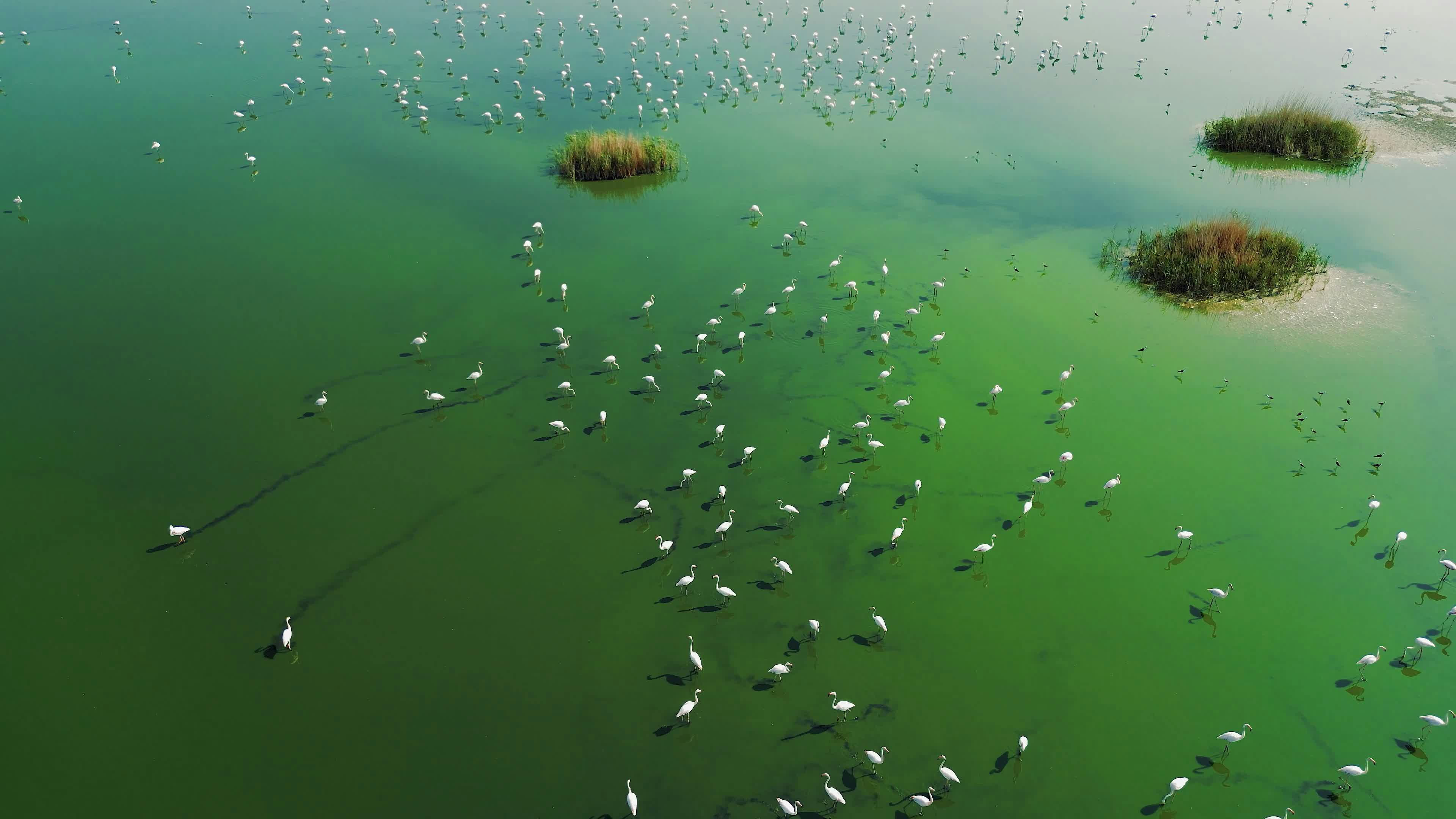 Video by Mahmut Yılmaz