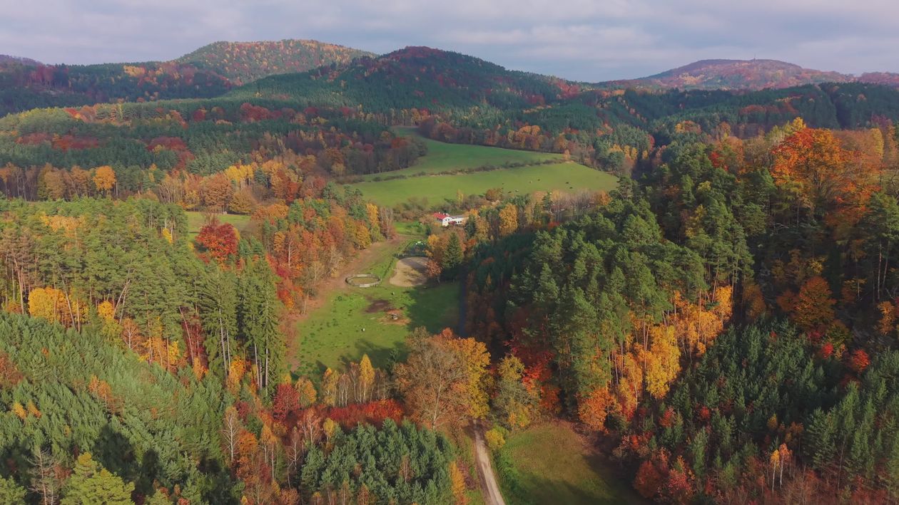 Stunning Aerial View of Autumn Forest Landscape Free Stock Video ...
