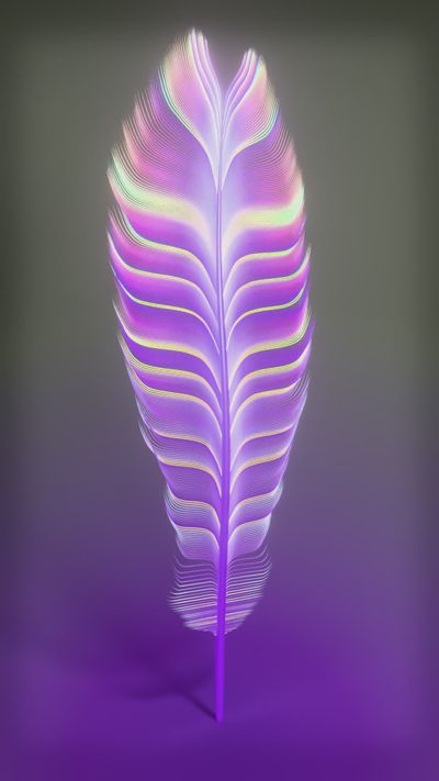 Nicola Narracci's fluid simulation art video