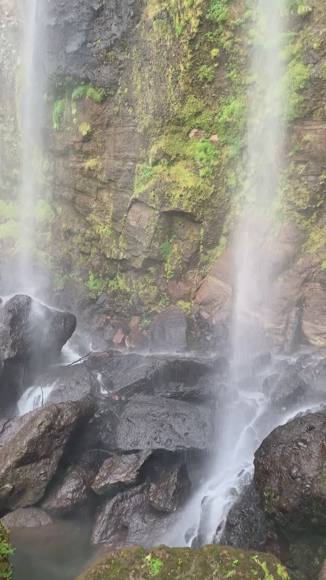 Stunning Cascading Waterfall in Lush Forest Free Stock Video Footage ...