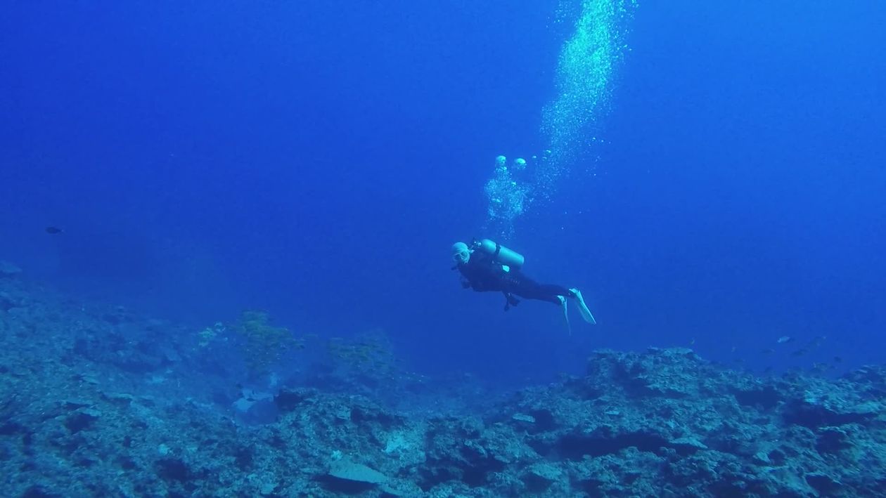 Scuba Divers Exploring Vibrant Underwater World Free Stock Video ...