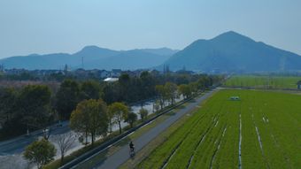 秋天稻田免费下载免费下载视频素材