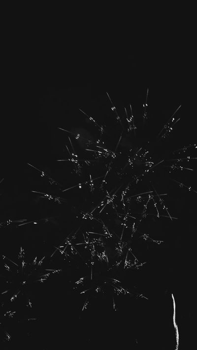 정규송 Nui MALAMA's geometric patterns animation video
