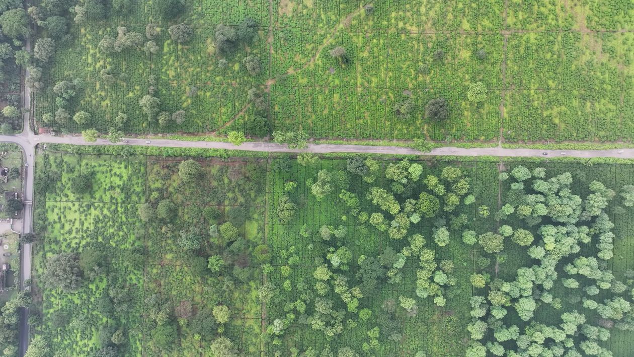 Aerial View of Lush Green Landscape Free Stock Video Footage, Royalty ...