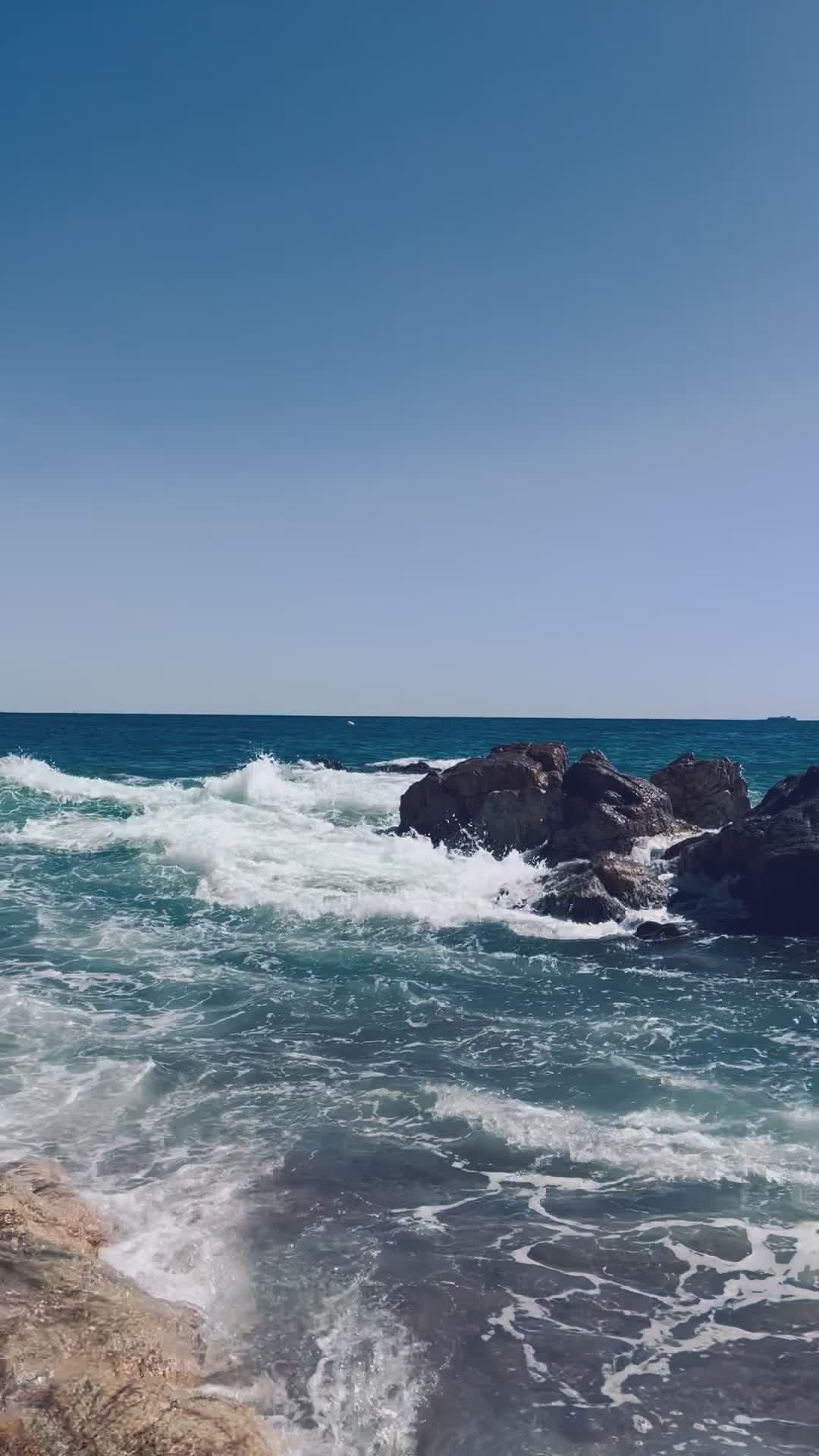 Vibrant Ocean Waves Crashing against Rocks Free Stock Video Footage ...