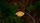 blader