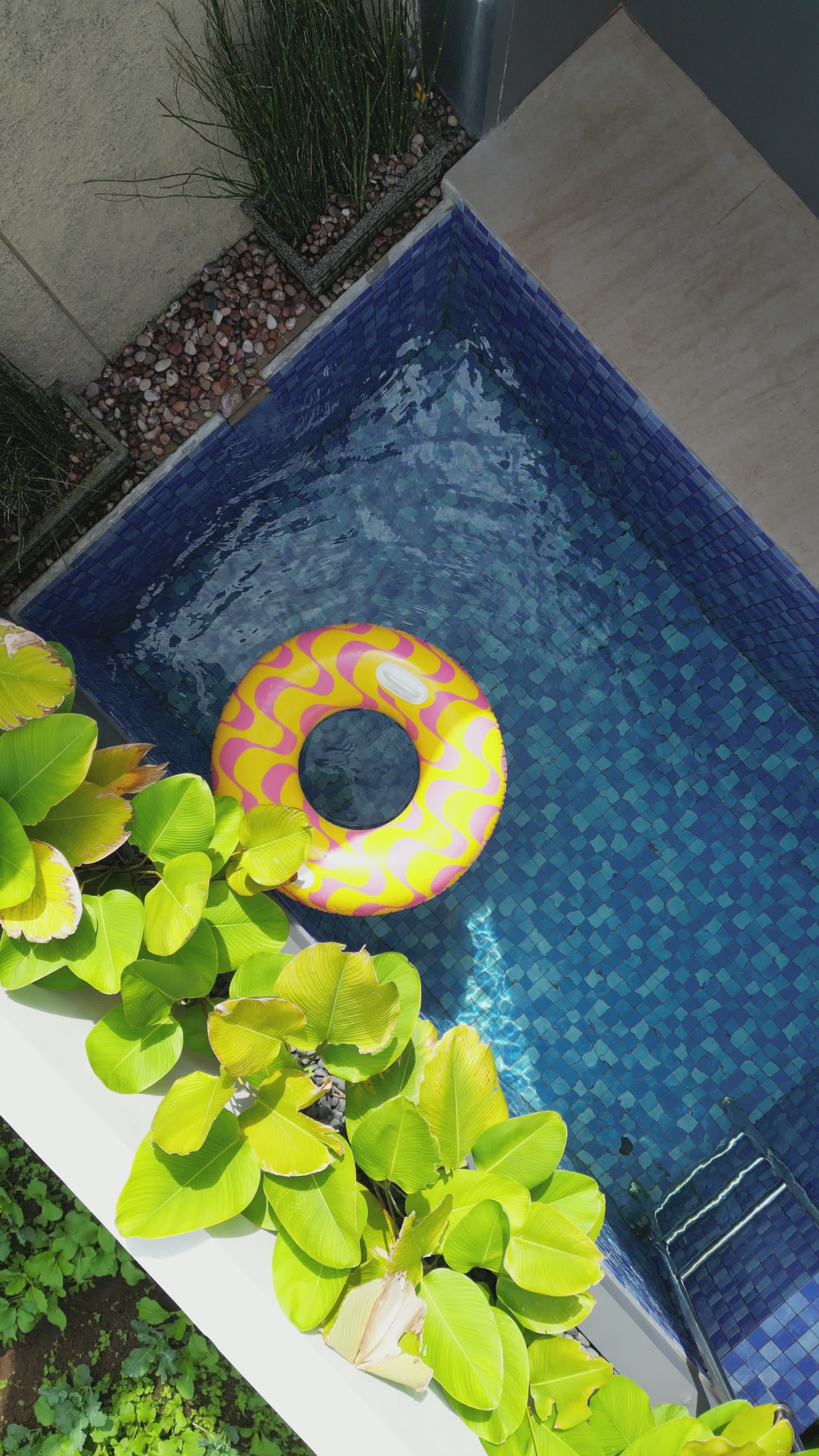 Aerial View of Vibrant Backyard Pool with Float Free Stock Video ...