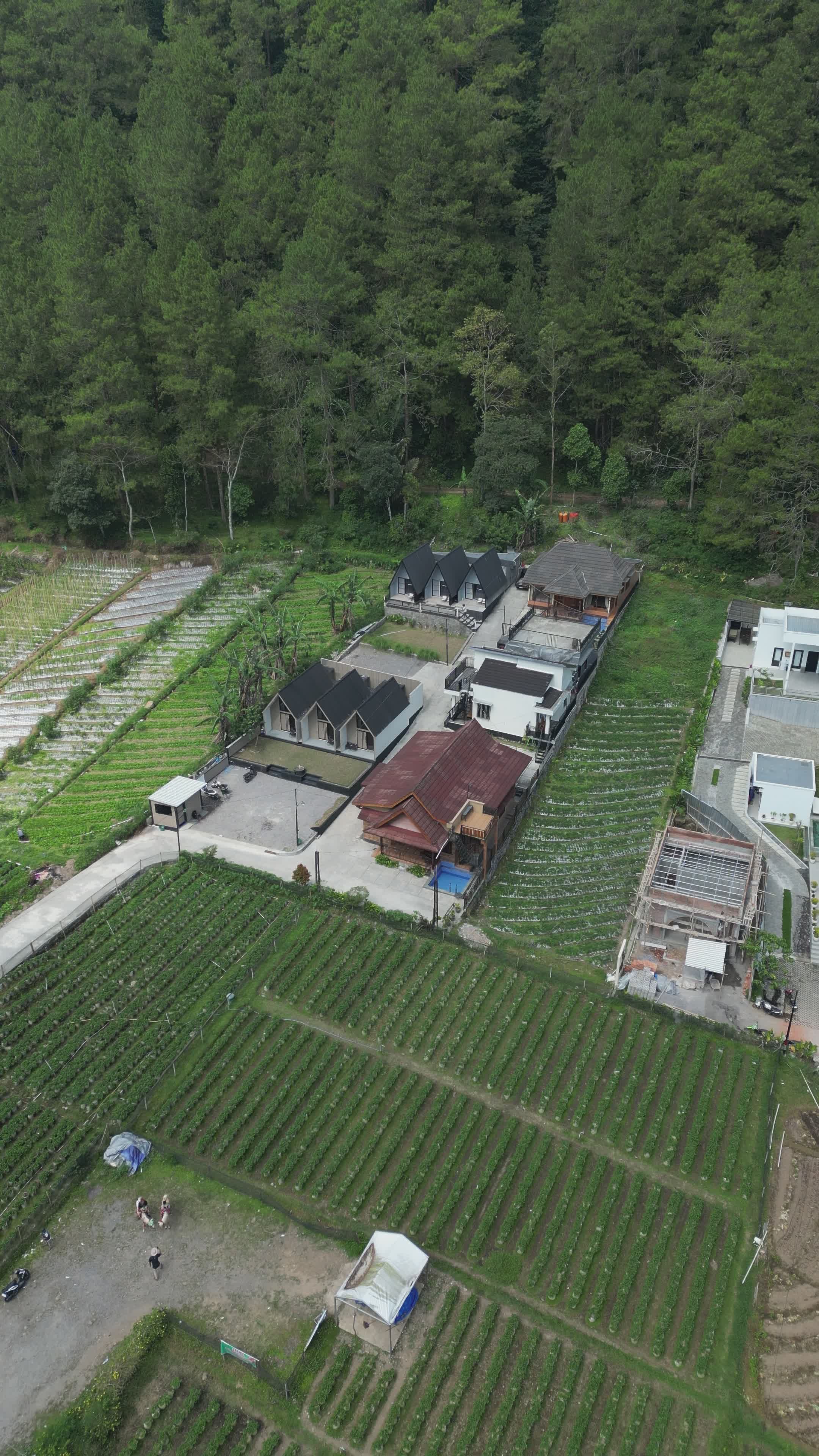 Aerial View of Rural Homes in Lush Greenery Free Stock Video Footage ...