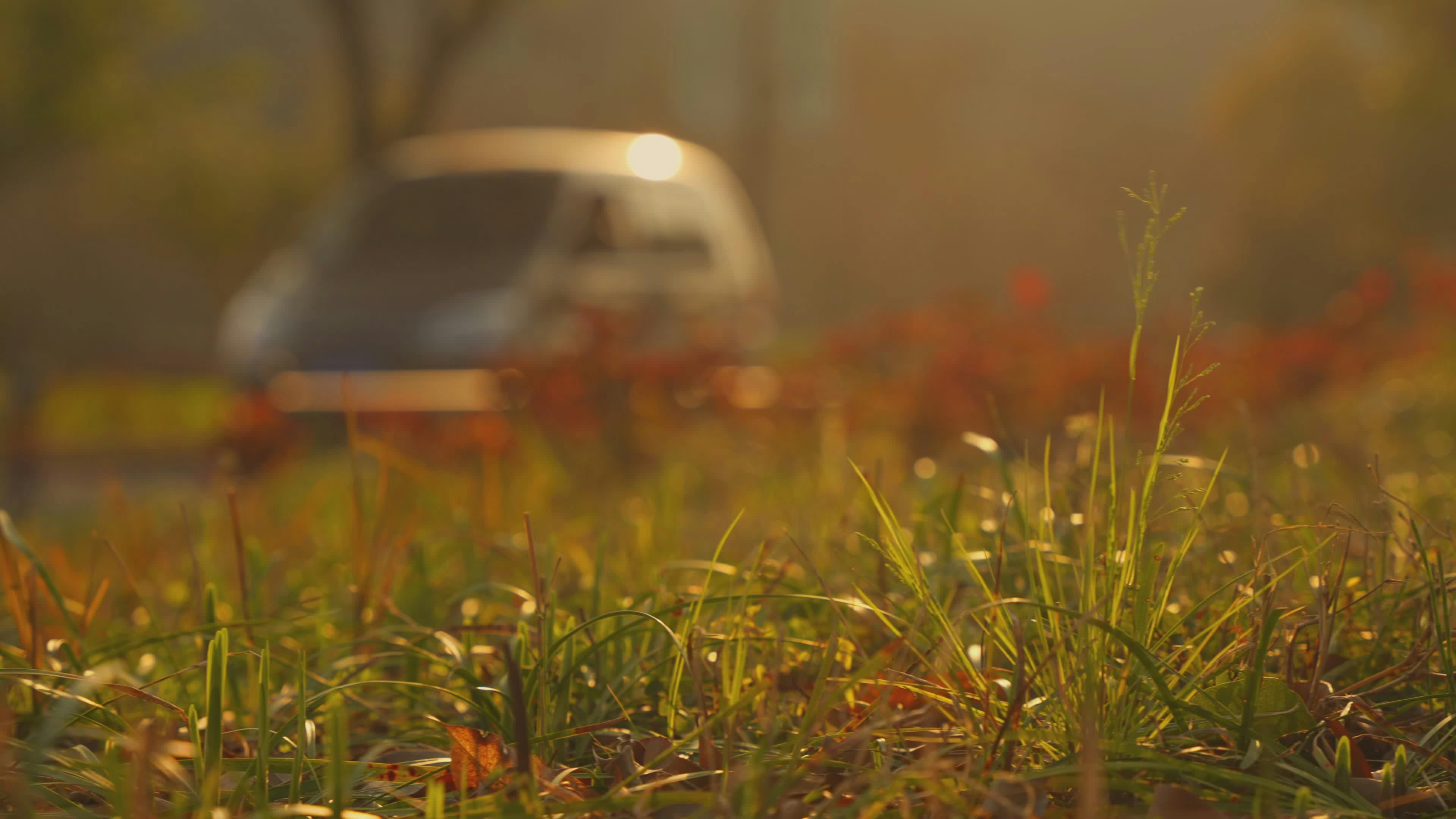 Video by Acres of Film