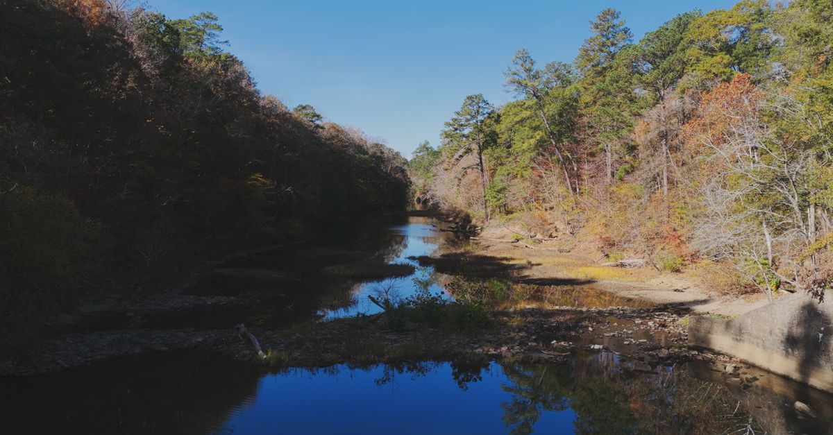 River Ridge Alabama Serene Aerial View of Alabama River in Fall Free Stock Video Footage ...