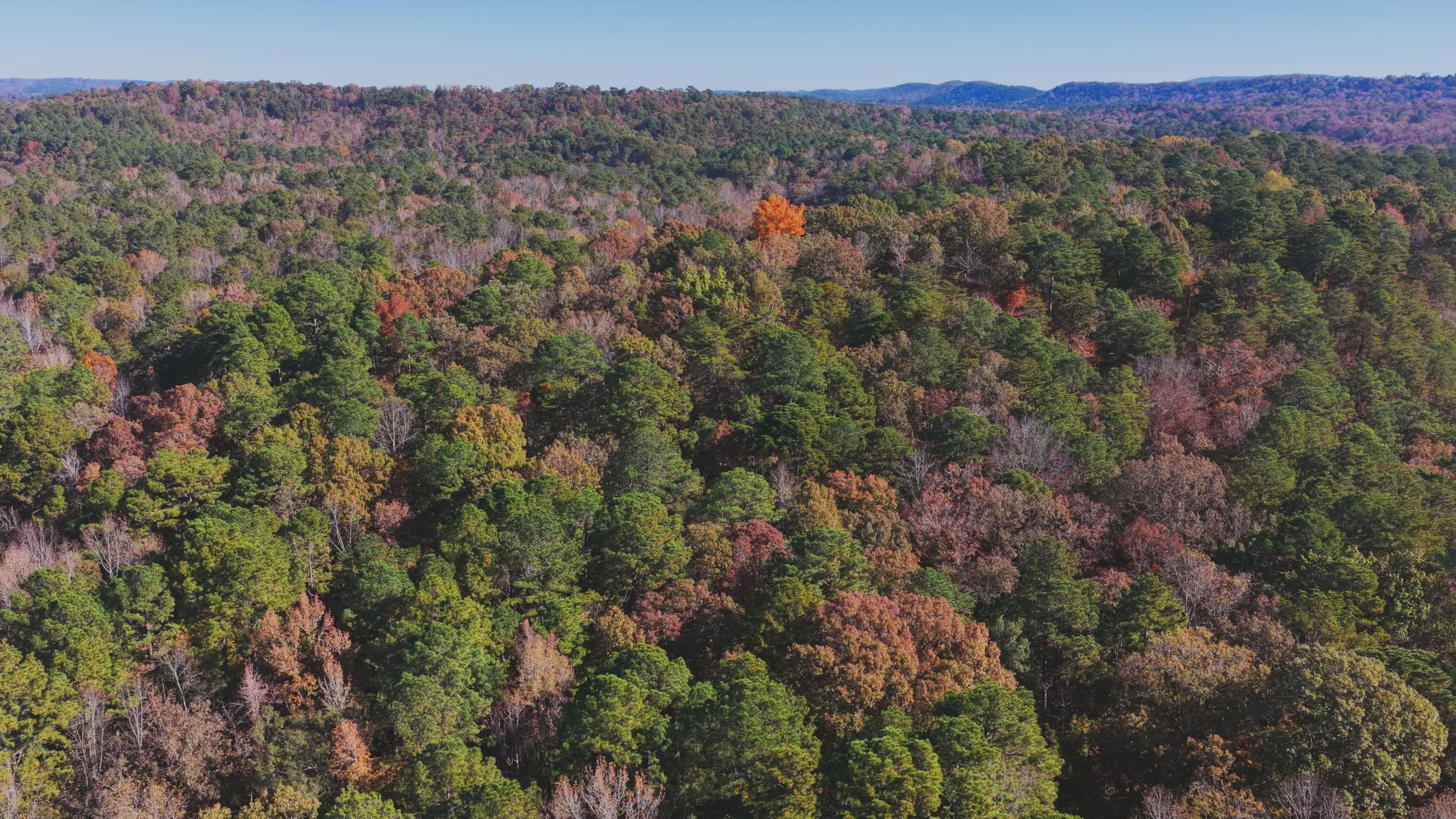 Stunning Aerial View of Alabama Forest in Fall Free Stock Video Footage ...