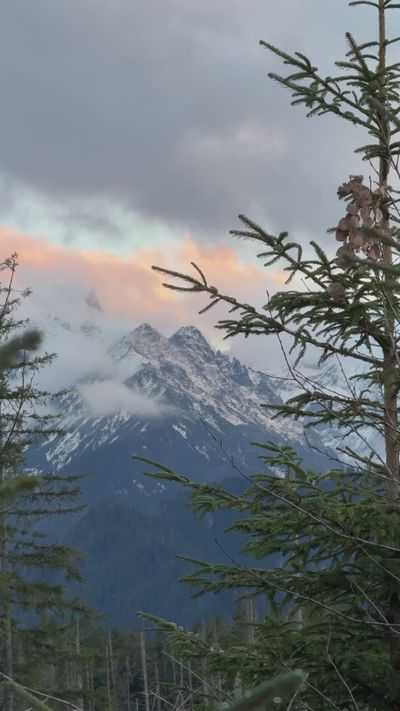 Pexels User Poliakova's nature timelapse video