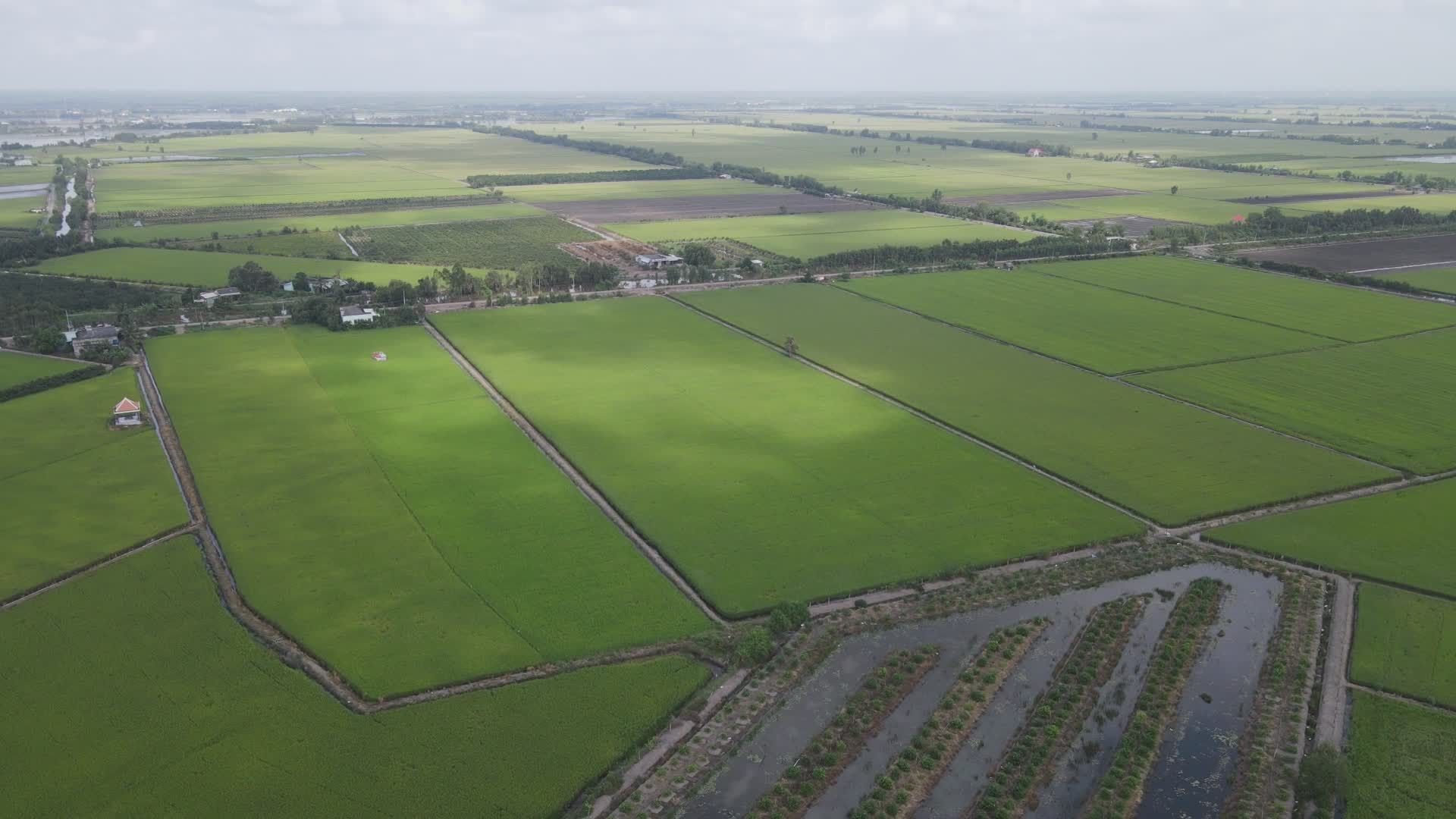 Expansive Aerial View of Lush Green Farmland Free Stock Video Footage ...