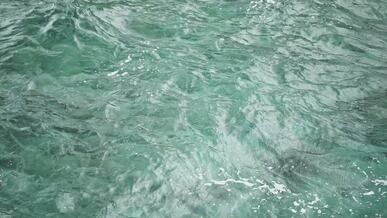 tranquil turquoise ocean surface in motion