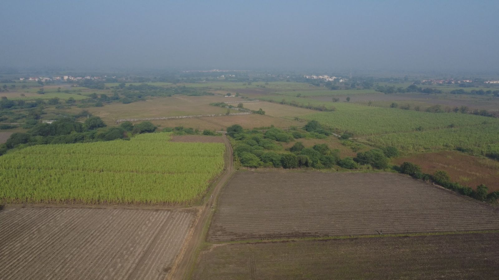 Aerial View of Lush Green Field with Trees Free Stock Video Footage ...