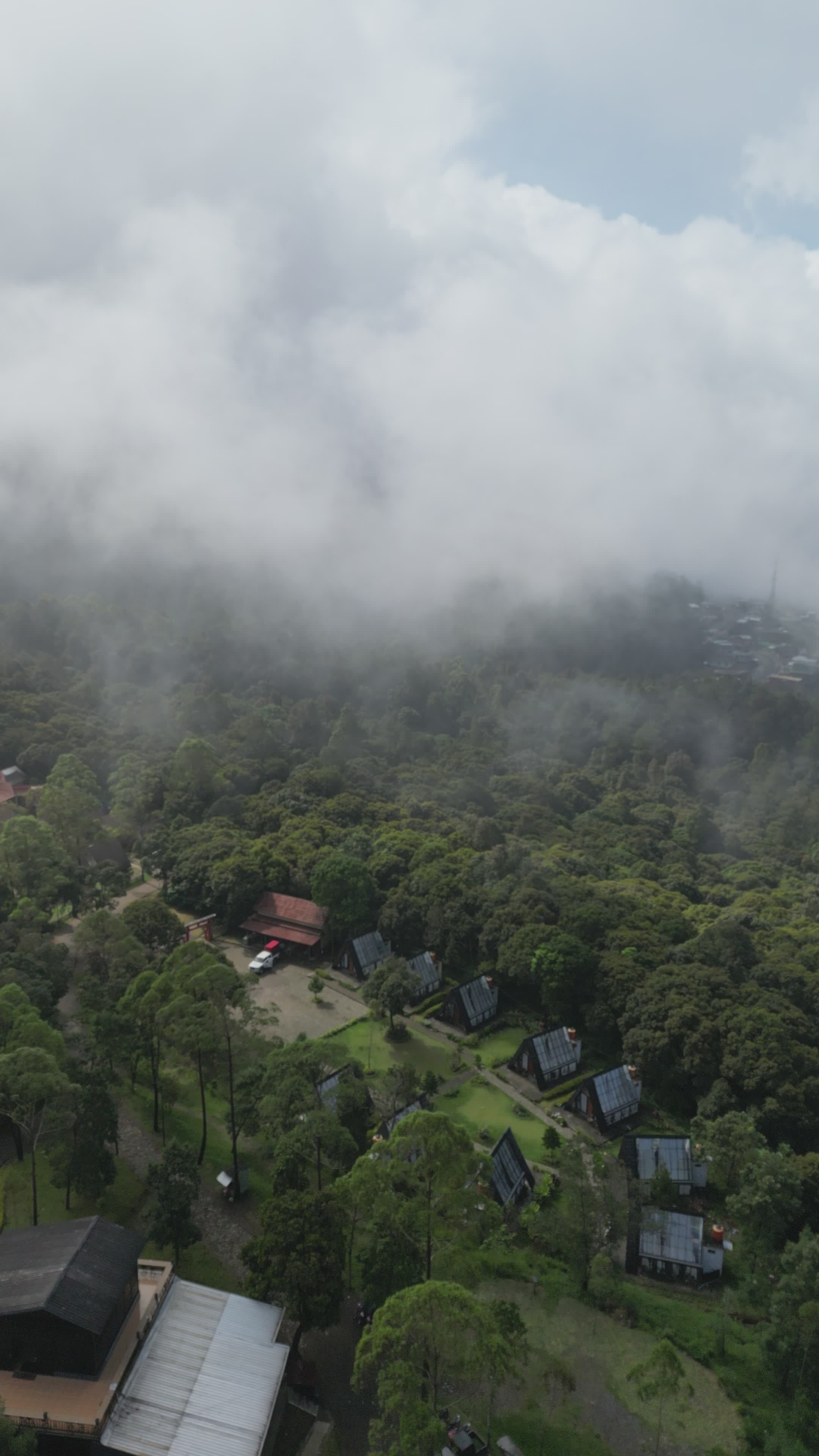 Aerial View of Misty Forest Locale Free Stock Video Footage, Royalty ...