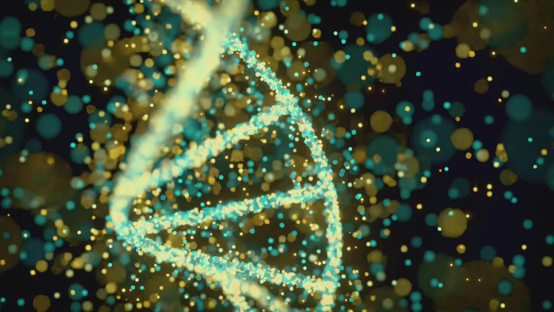Video by Nicola Narracci