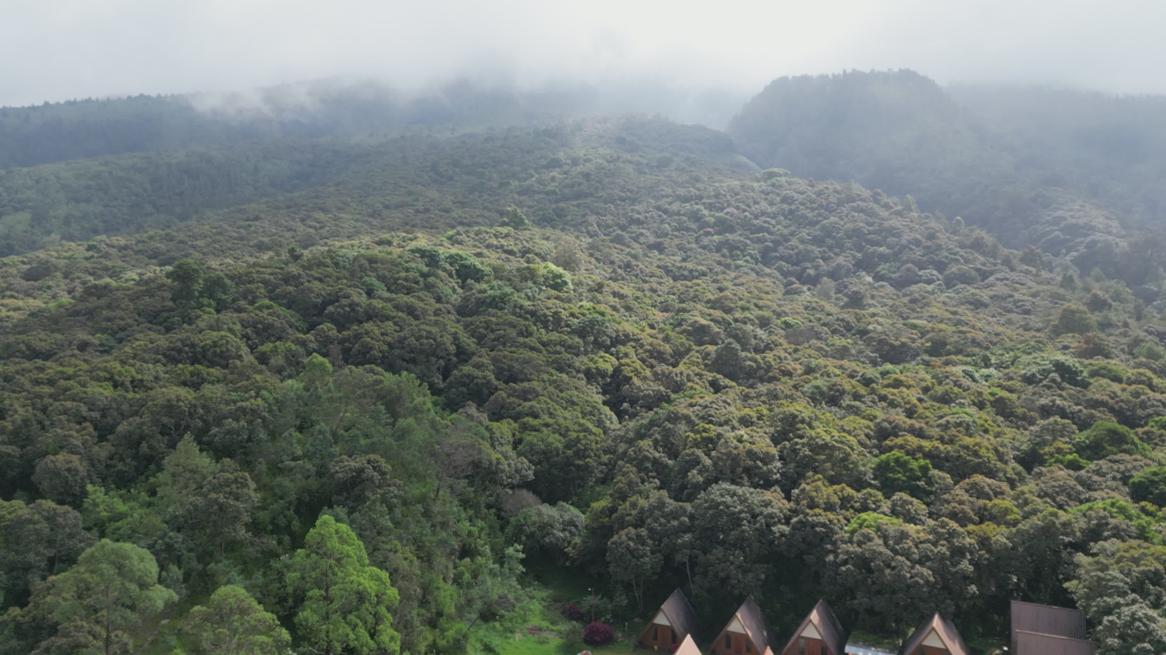 Serene Aerial View of Lush Mountain Forest Free Stock Video Footage ...