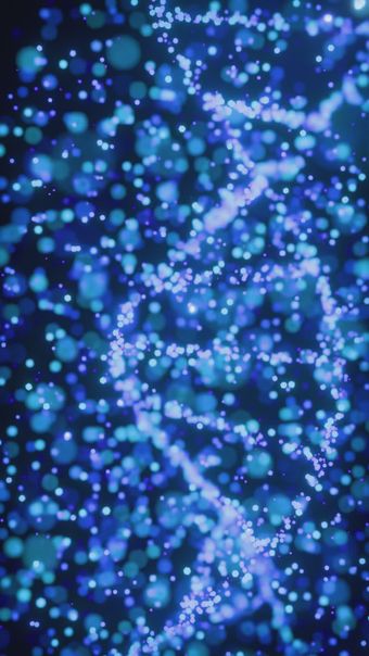Dna