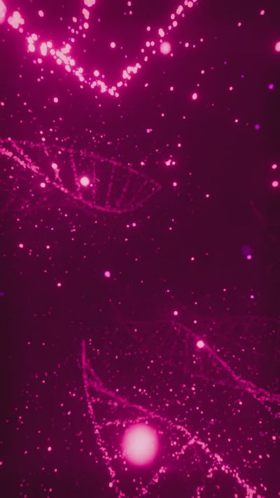 Nicola Narracci's abstract art motion video