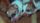 cute puppies