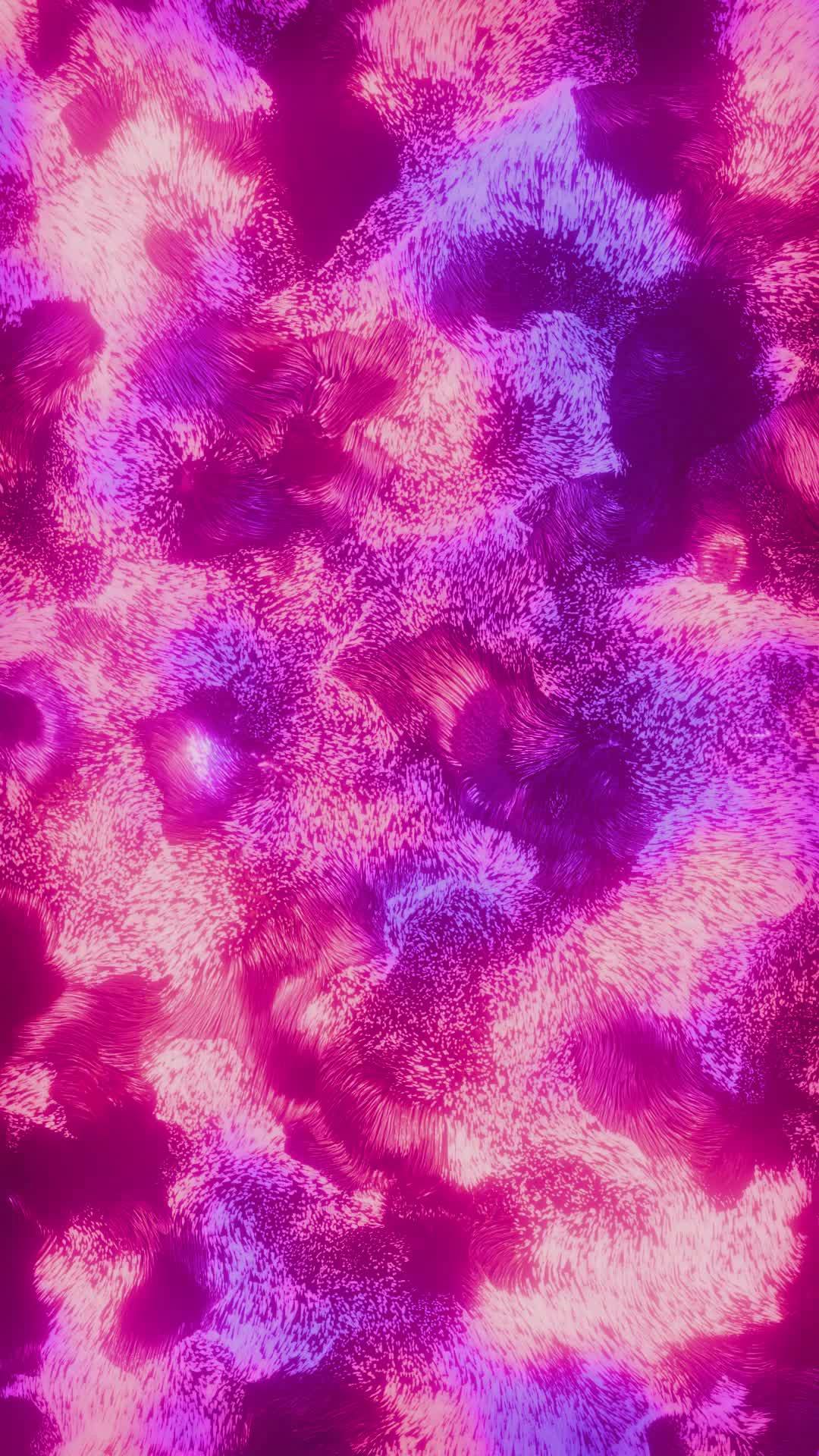 Video by Nicola Narracci