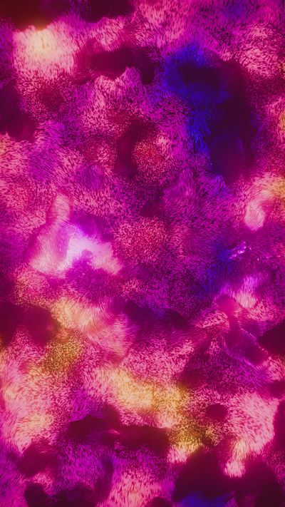 Nicola Narracci's abstract art motion video
