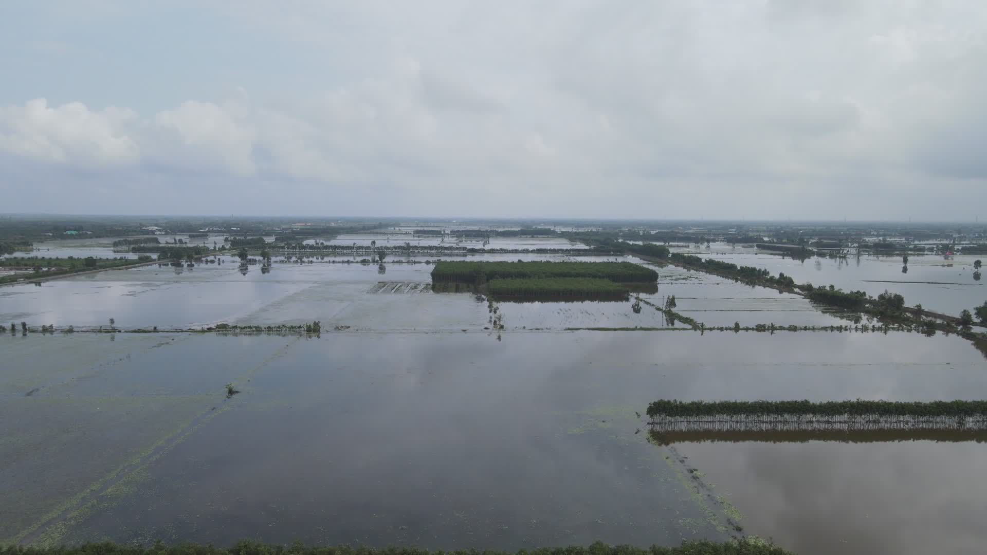 Aerial View of Flooded Rice Fields Free Stock Video Footage, Royalty ...