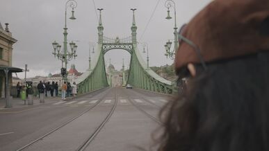 scenic view of liberty bridge in budapest