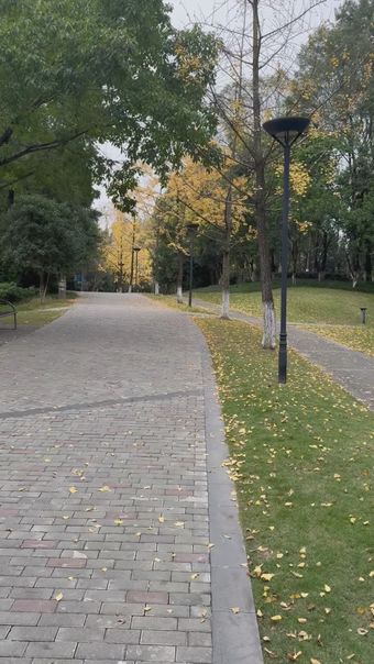 秋天旅游视频素材视频素材高清视频视频素材