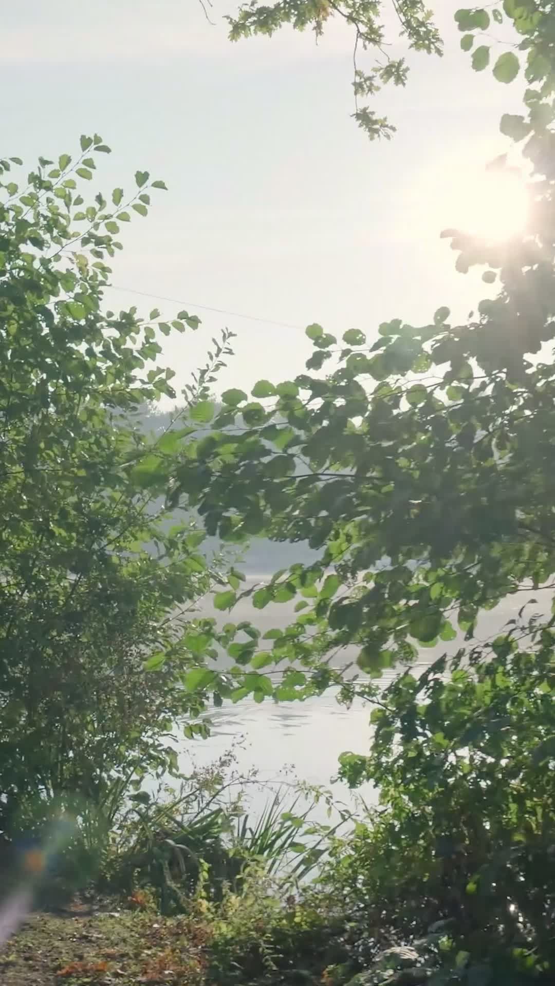 Video by Matthias Groeneveld
