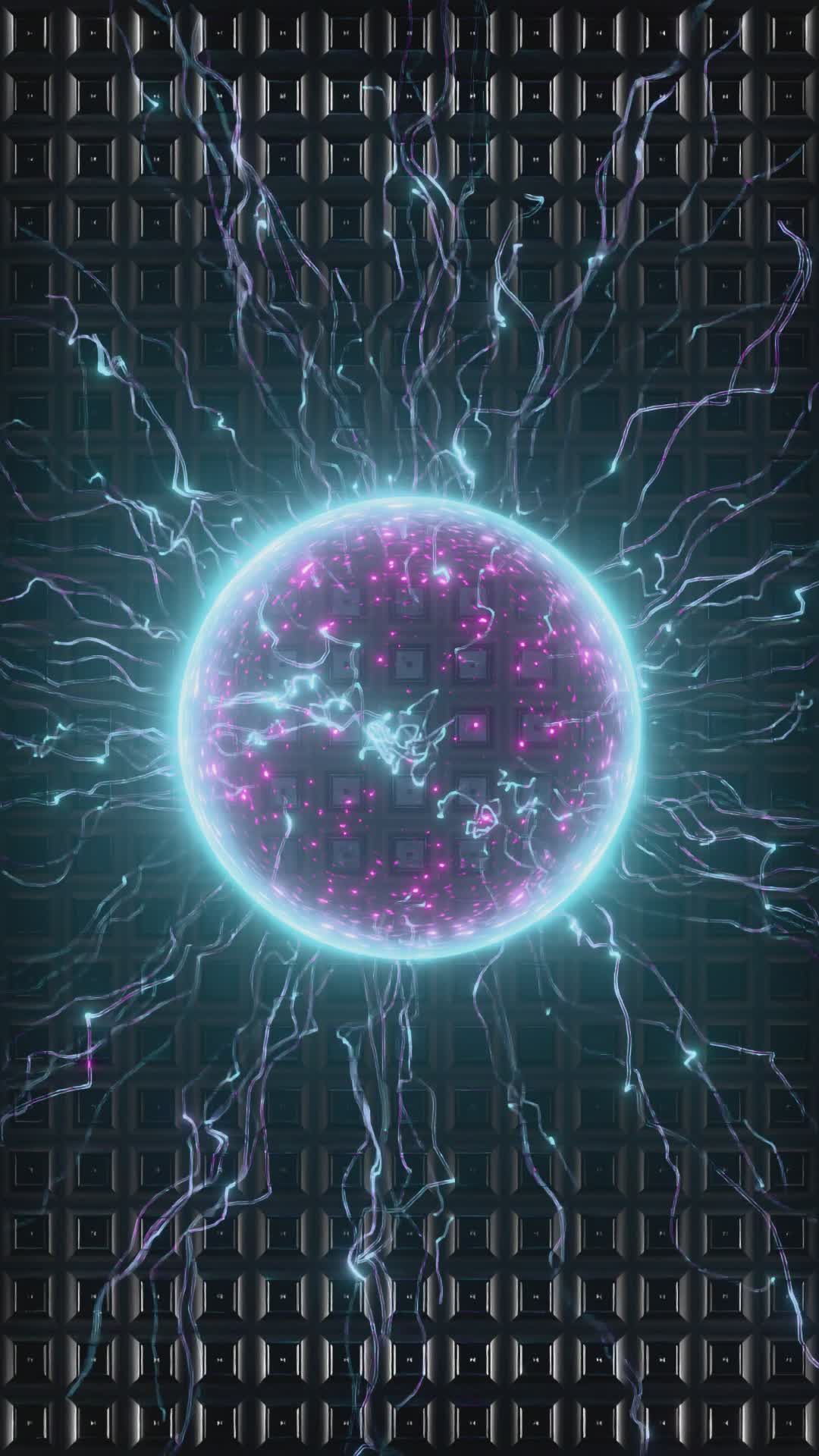 Video by Nicola Narracci