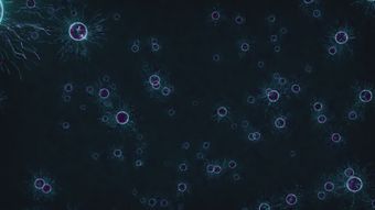 神经免费下载视频素材视频素材