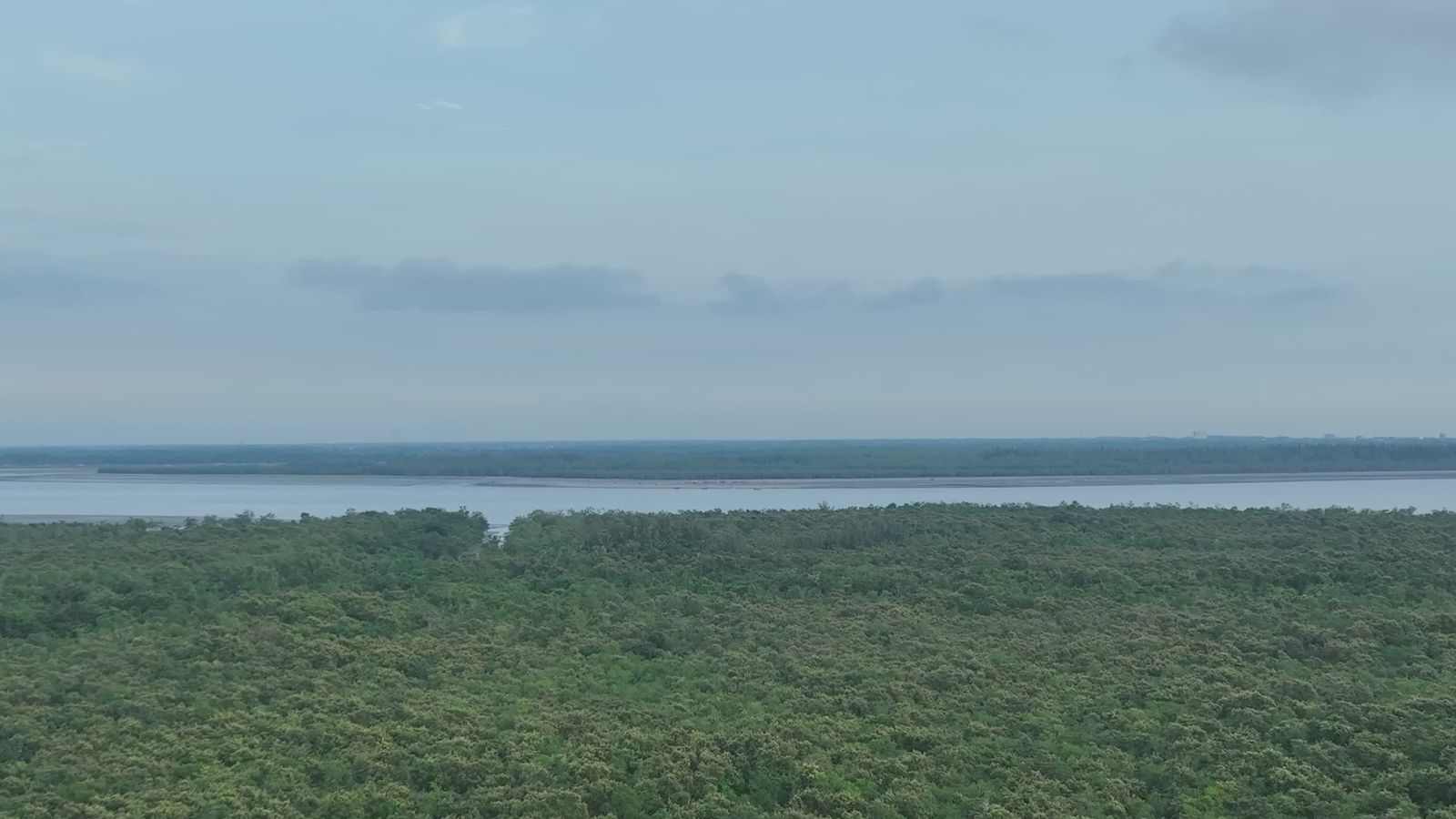 Aerial View of Lush Bangladeshi Landscape Free Stock Video Footage ...