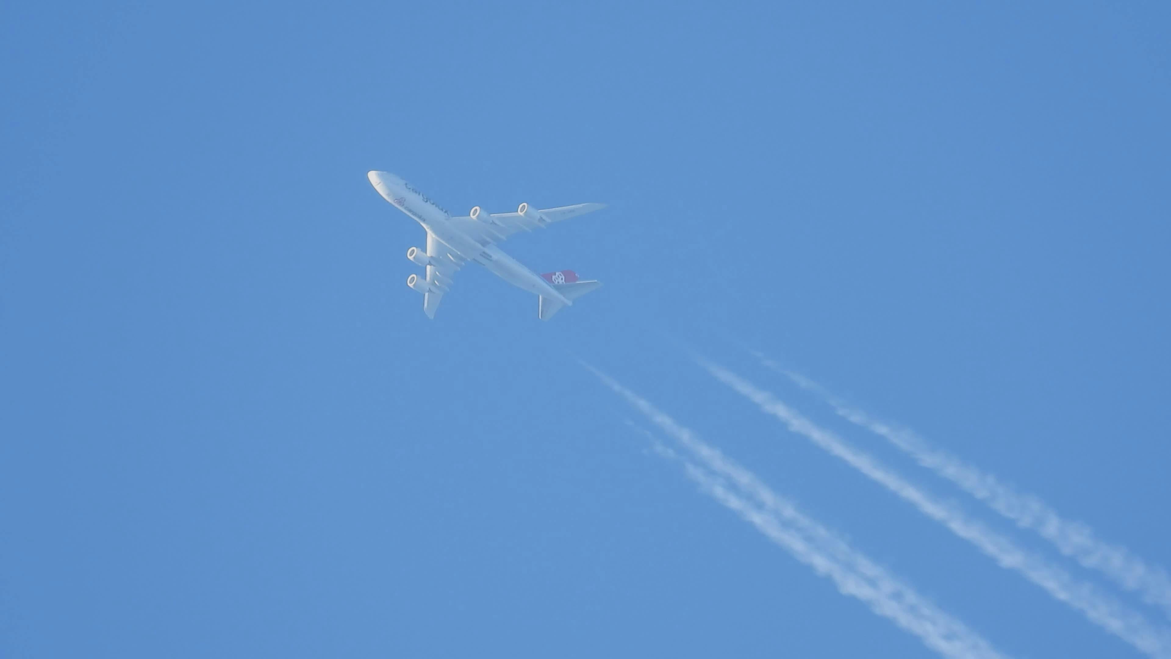 Video by Dave Planes