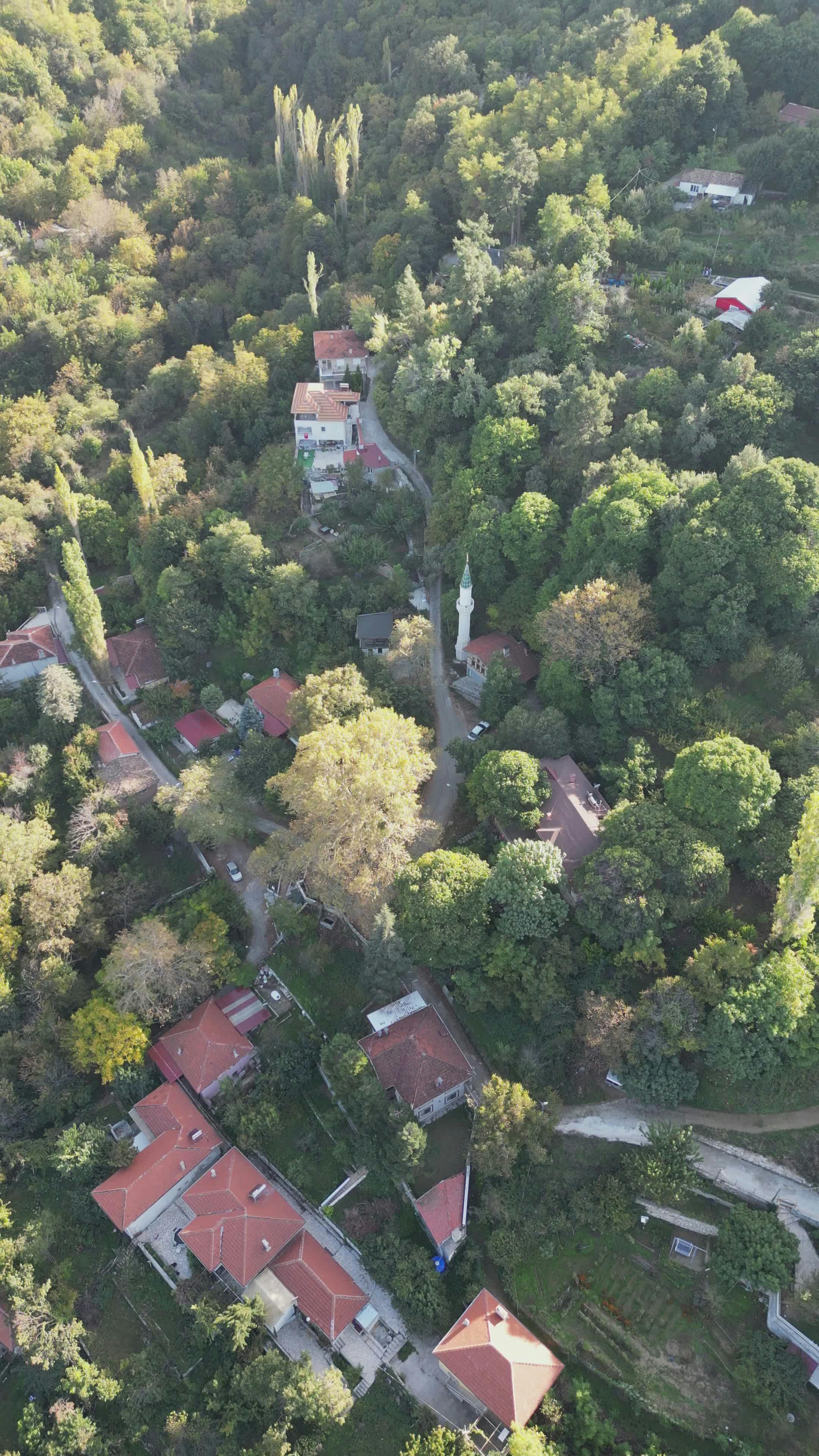 Video by Mahmut Yılmaz