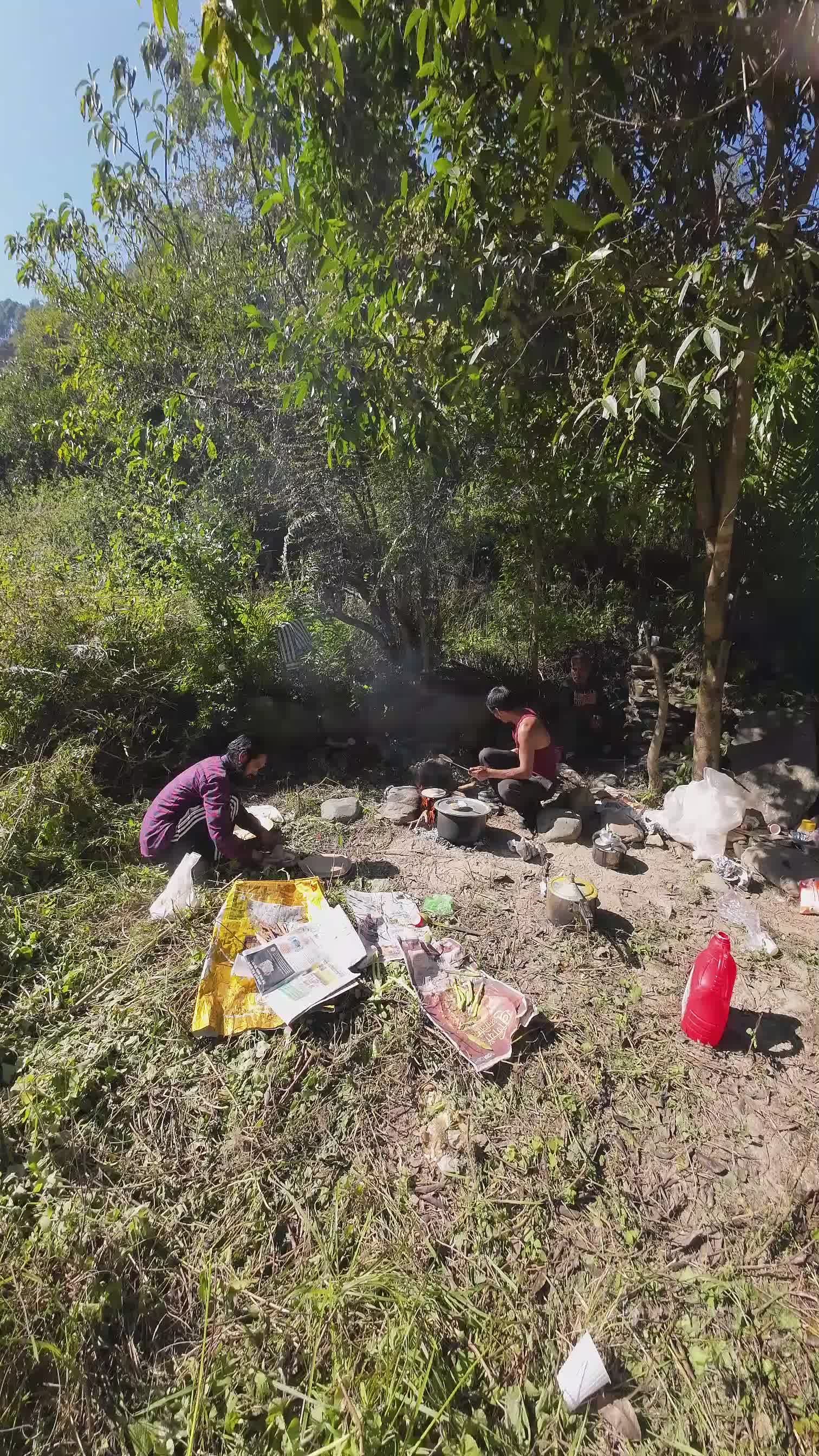 Outdoor Cooking in a Forest Setting Free Stock Video Footage, Royalty ...