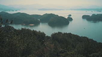 黑瞎子岛视频素材视频素材免费下载高清视频视频素材