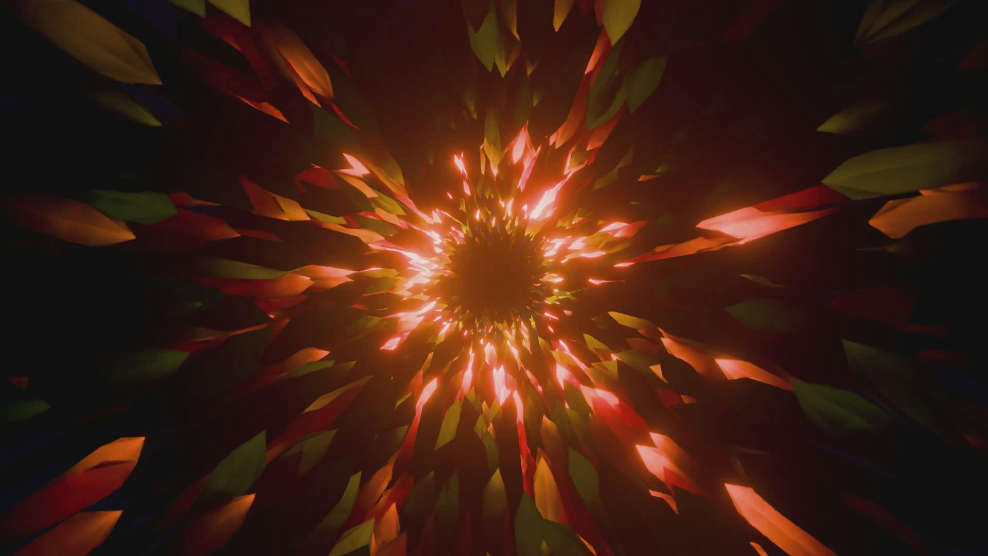 Video by Nicola Narracci