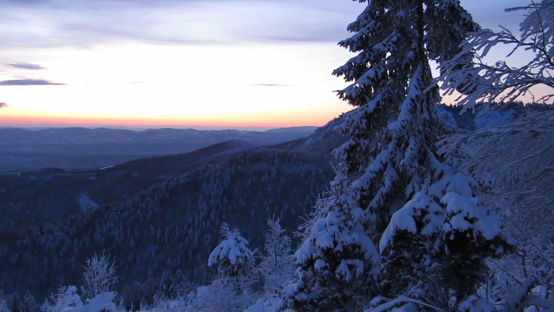 A Mountain Forest Covered In Snow Free Stock Video Footage, Royalty ...