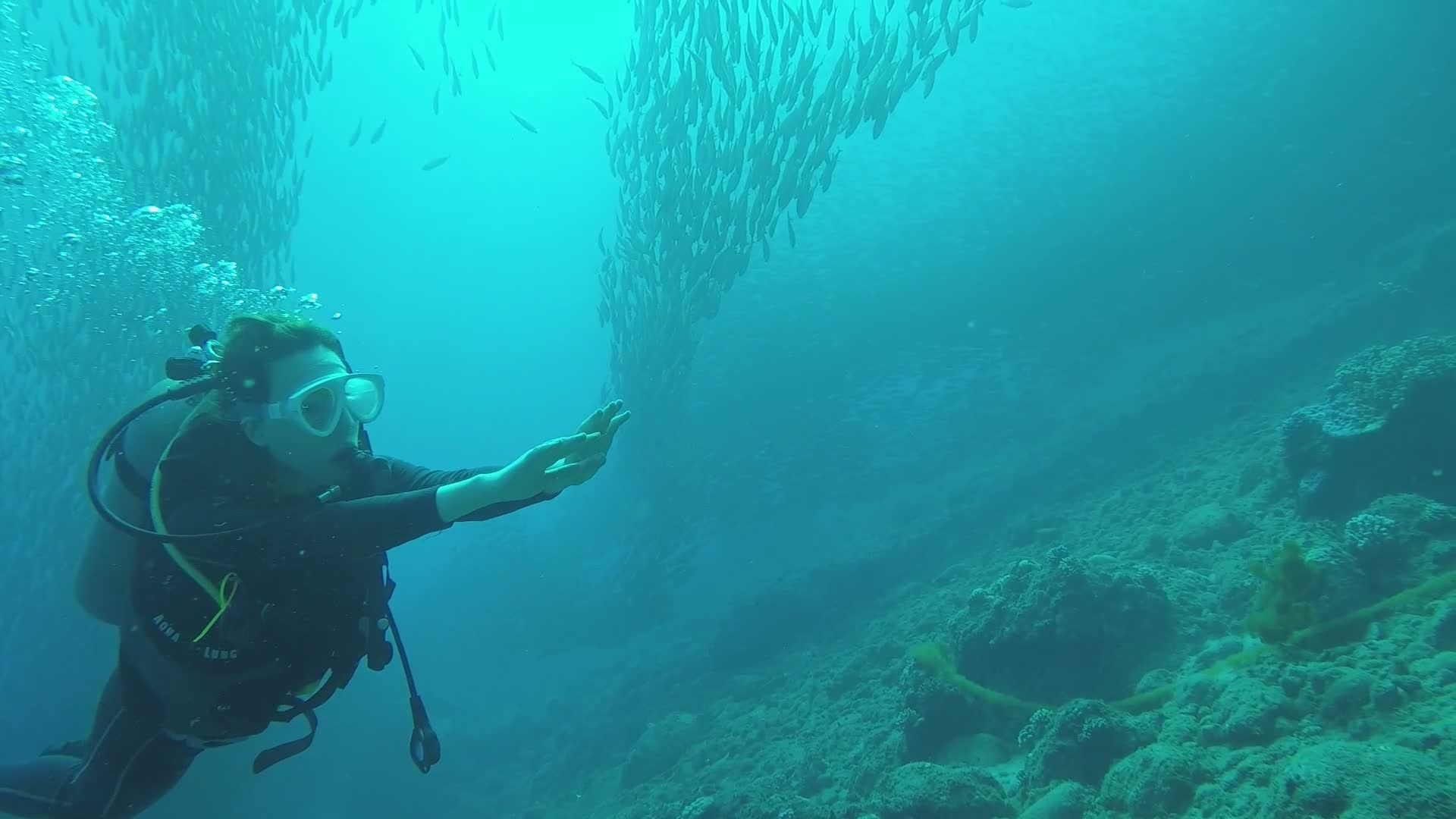 Diving Center video