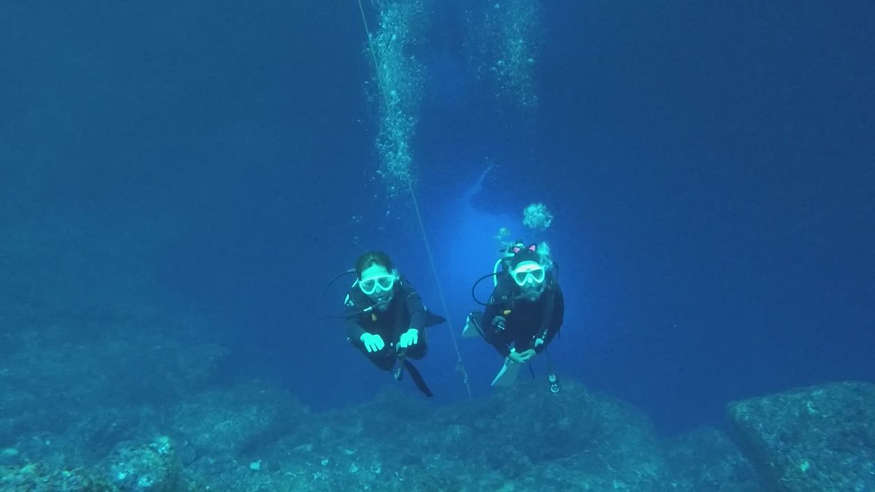 Underwater Adventure: Exploring Coral Reefs Free Stock Video Footage ...