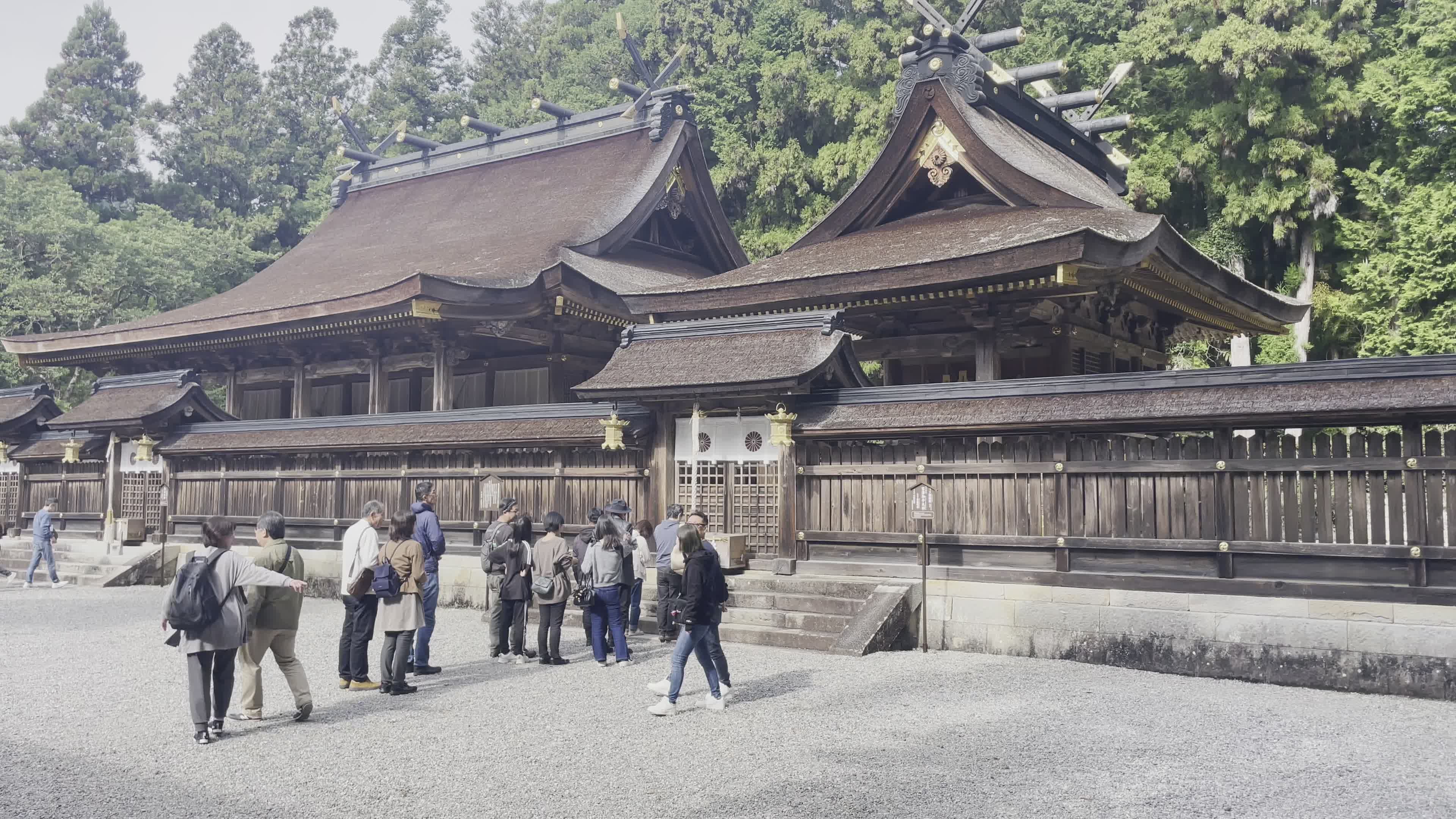Traditional Japanese Water Ritual at Shrine Free Stock Video Footage ...