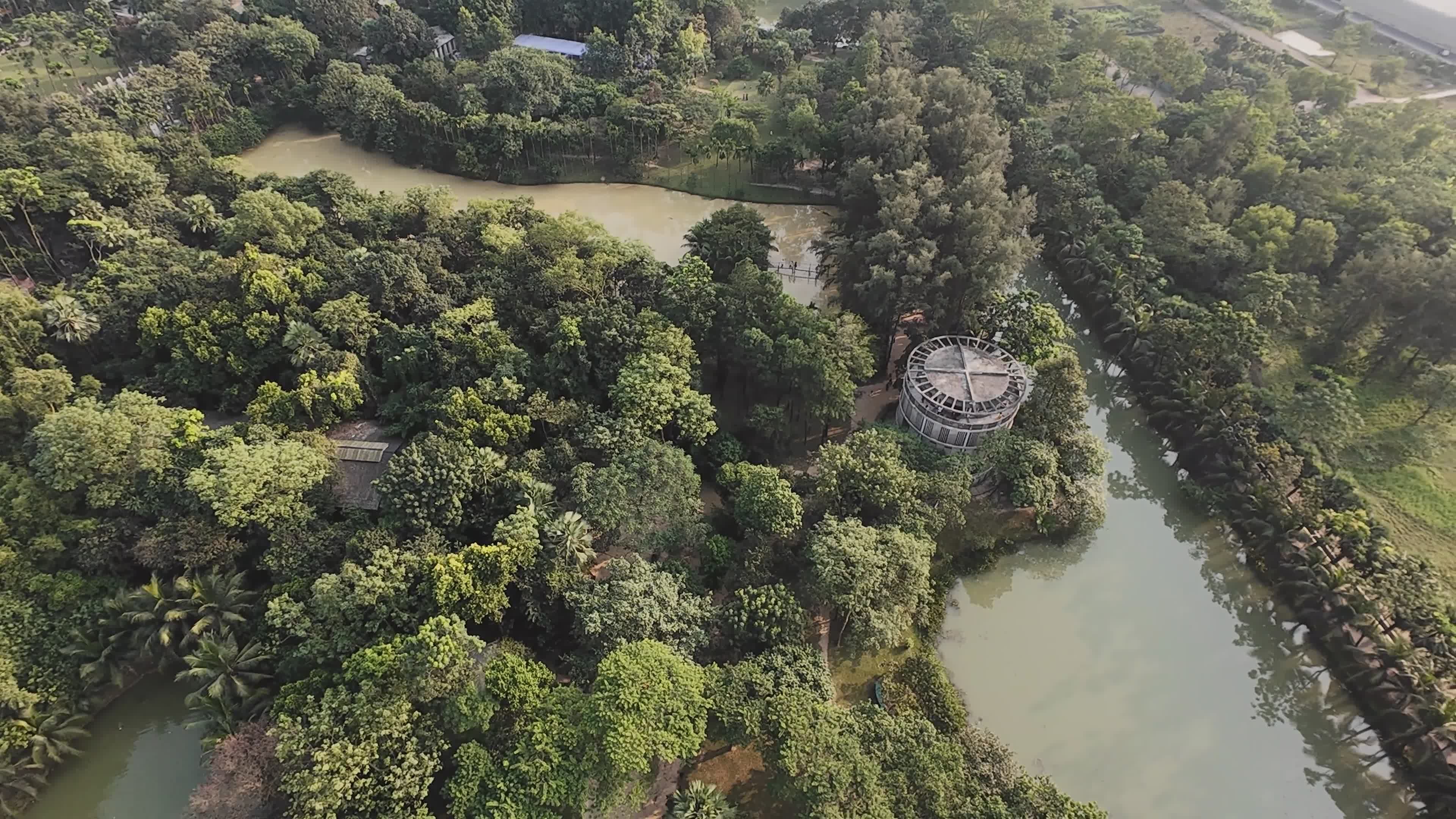 Serene Aerial View of Lush Green Landscape Free Stock Video Footage ...