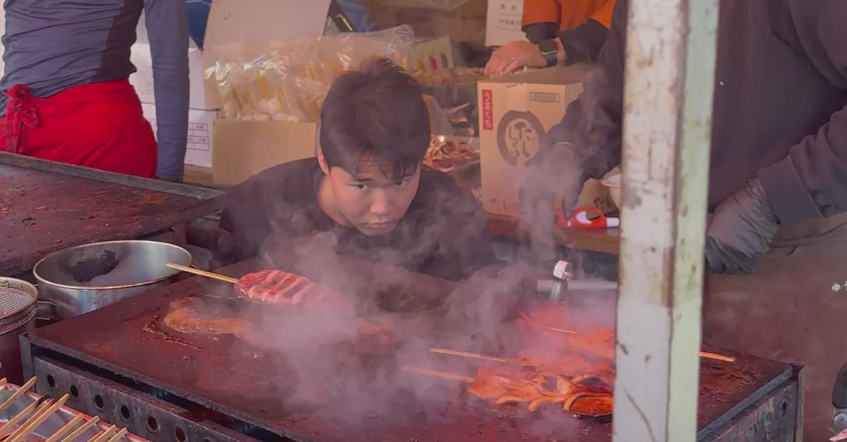 Street Food Stall with Grilled Skewers Free Stock Video Footage ...