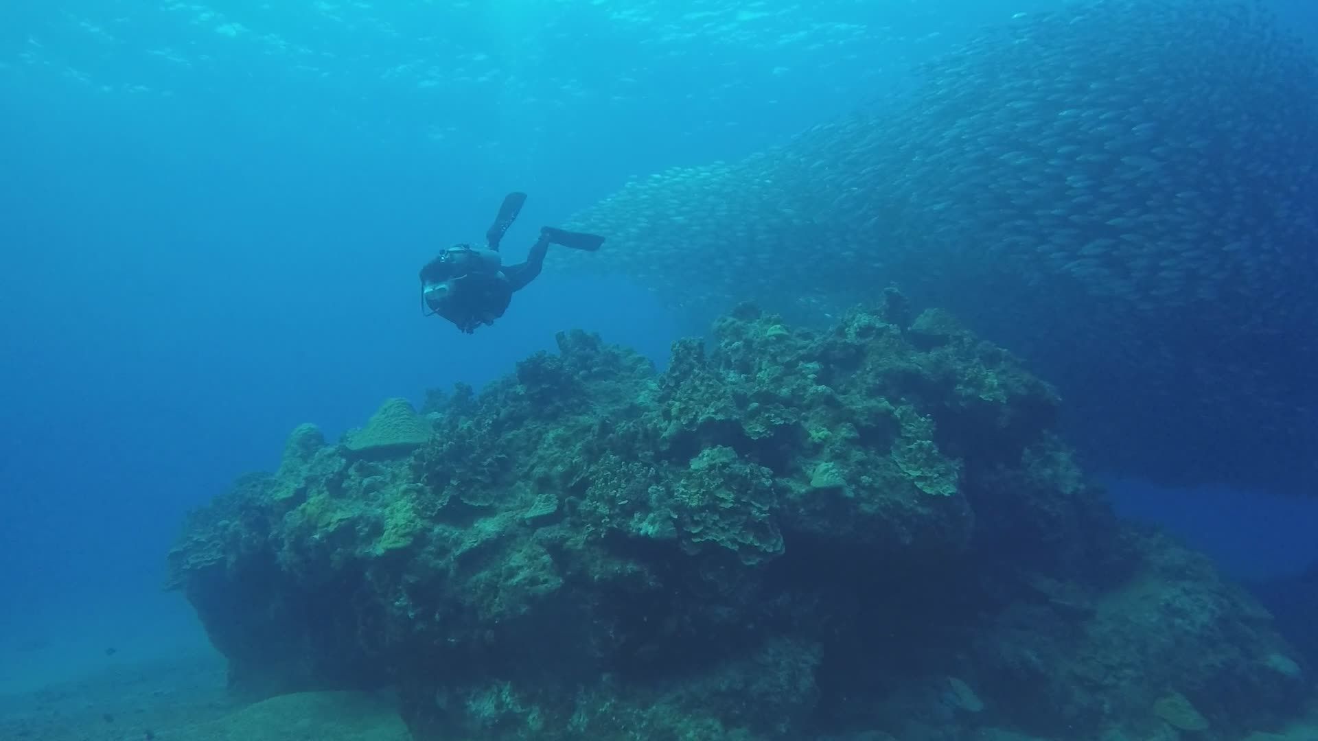 Scuba Diver Exploring Vibrant Coral Reefs Free Stock Video Footage ...