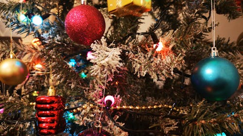 Bạn đã sẵn sàng cho mùa Giáng sinh chưa? Hãy xem hình ảnh phông nền Giáng sinh rực rỡ này với những cây tuyết và đèn lấp lánh để cảm nhận không khí lễ hội sớm hơn và tìm kiếm sự đam mê trong công việc của bạn!