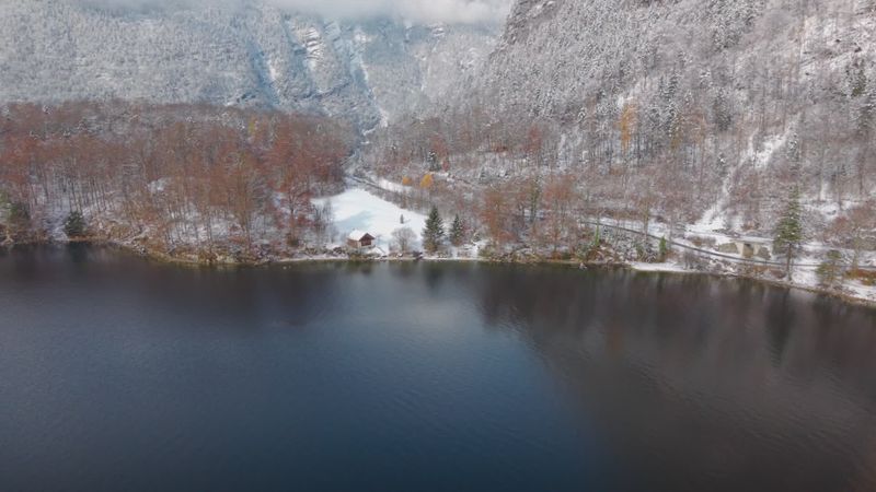 Serene winter landscape with snowy forest
